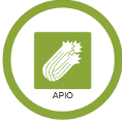 Apio